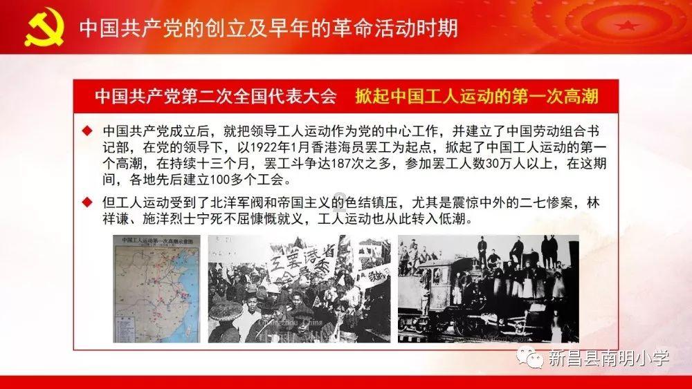 “小动保”为与猴共处的2只猫体检:都是公猫没怀孕,被欺负不敢反抗