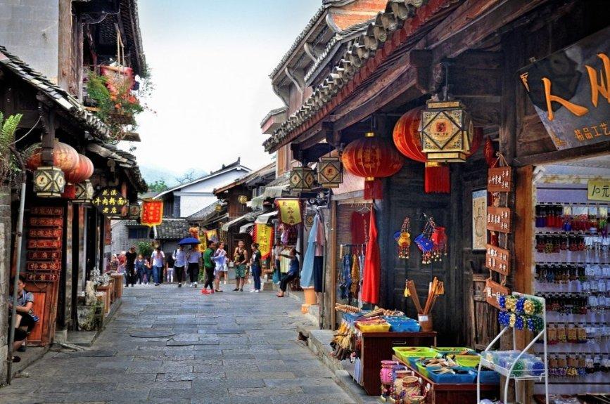 枇杷地里迎来400多户“新客人”