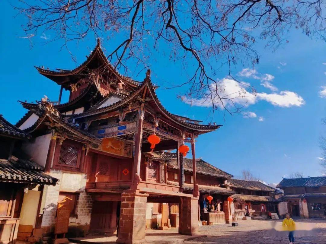逃离大犀牛出没地